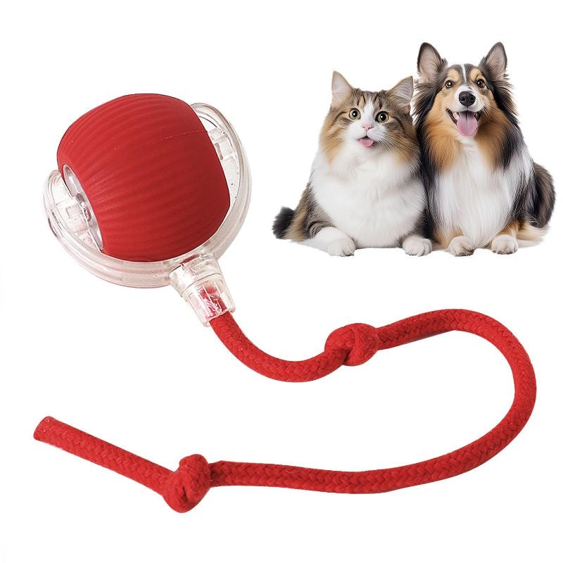 PawsPlay Smart Interactive Pet Toy For Dogs & Cats