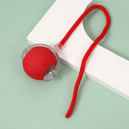 PawsPlay Smart Interactive Pet Toy For Dogs & Cats